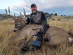 11 Mike 2016 Whitetail